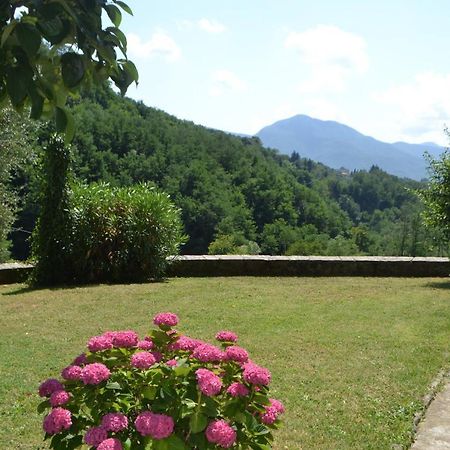 La Limonaia Di Casagrande Villa Barga Exteriör bild