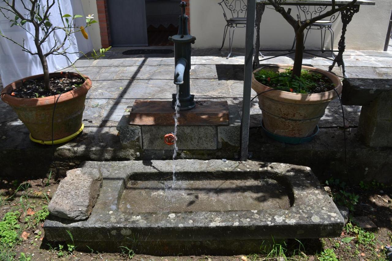 La Limonaia Di Casagrande Villa Barga Exteriör bild