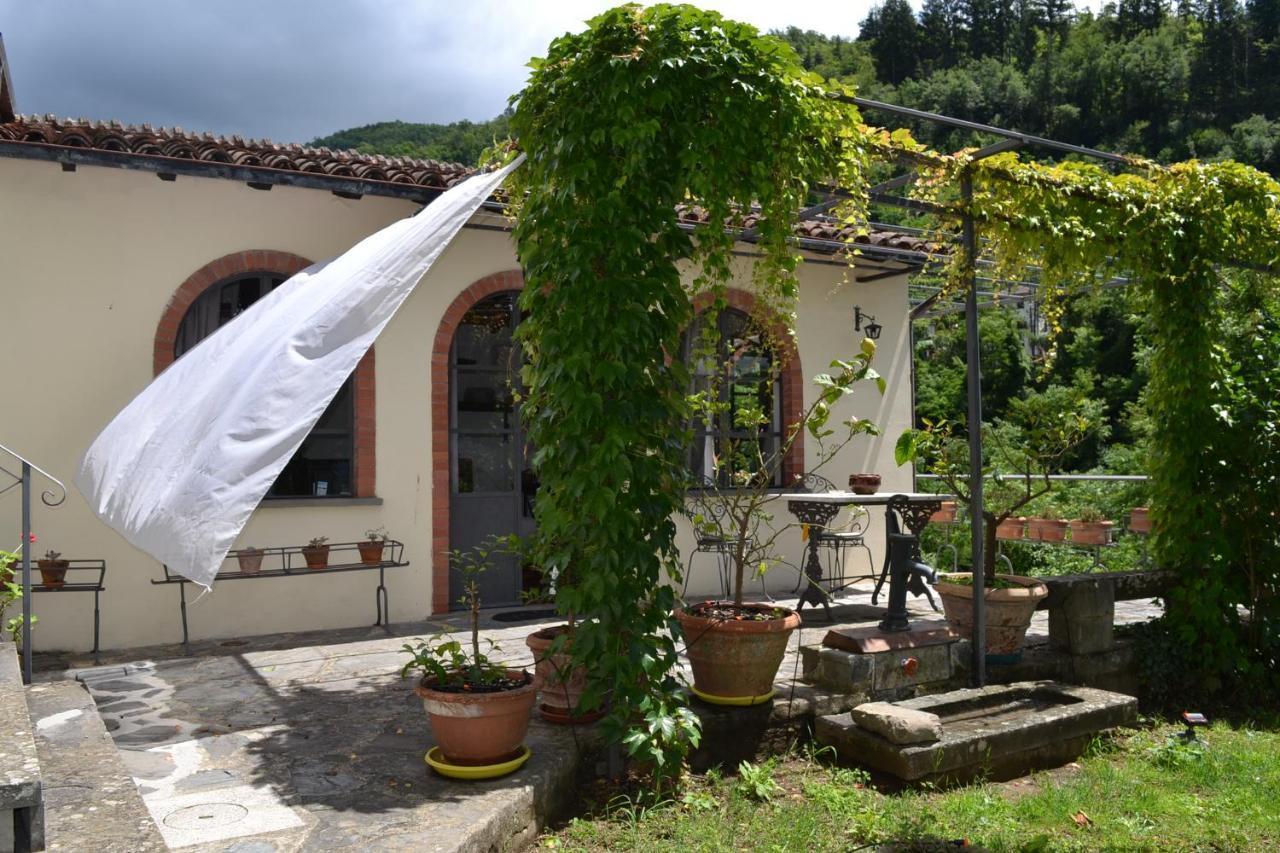La Limonaia Di Casagrande Villa Barga Exteriör bild