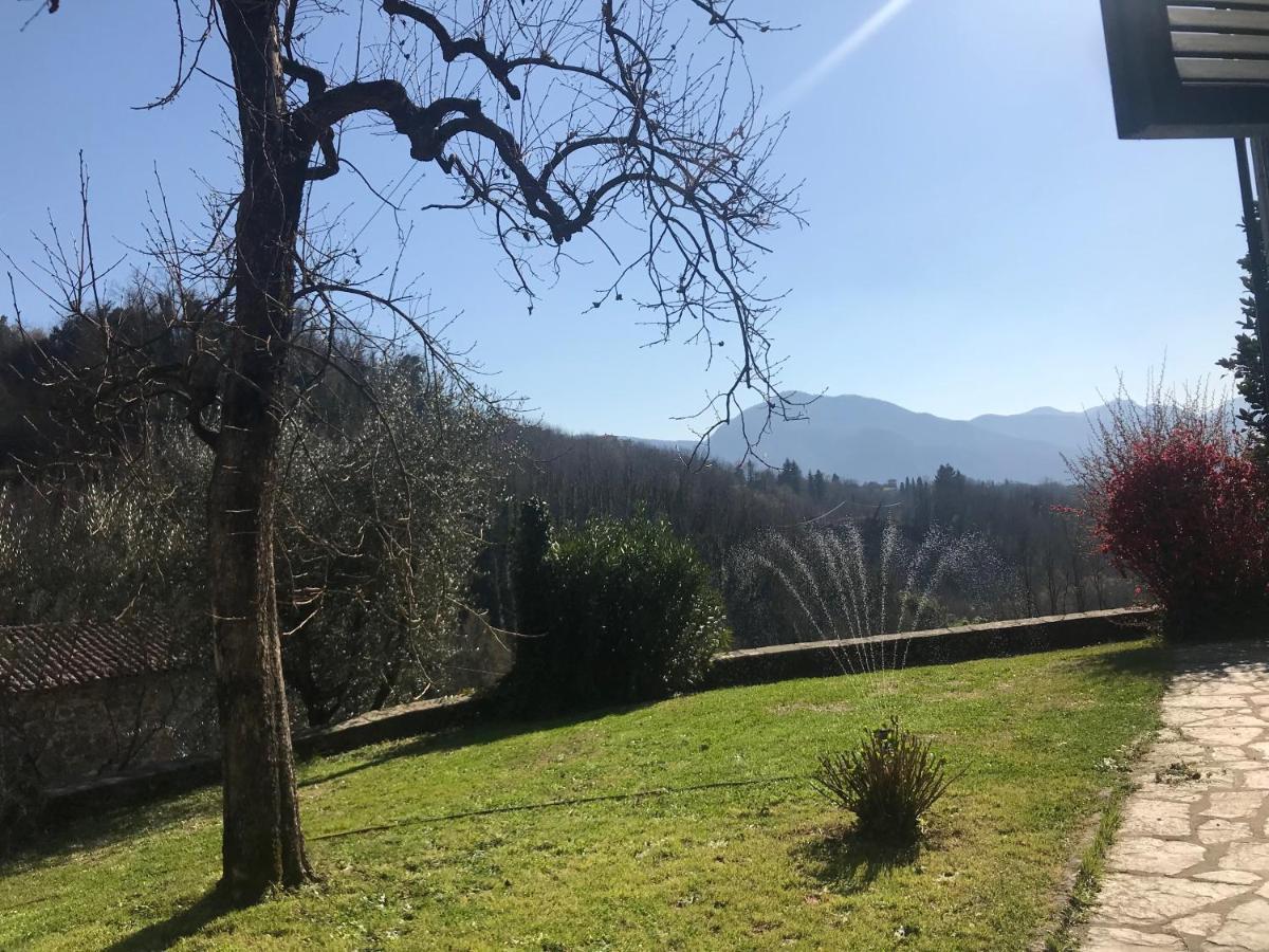 La Limonaia Di Casagrande Villa Barga Exteriör bild