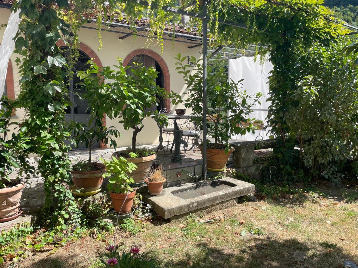 La Limonaia Di Casagrande Villa Barga Exteriör bild