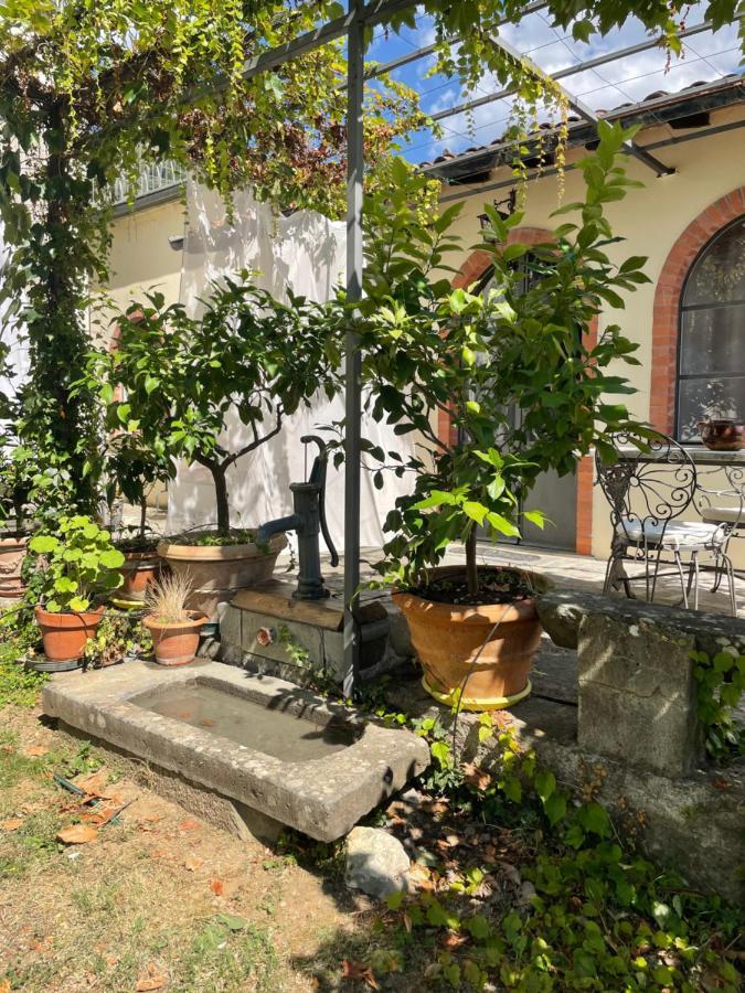 La Limonaia Di Casagrande Villa Barga Exteriör bild