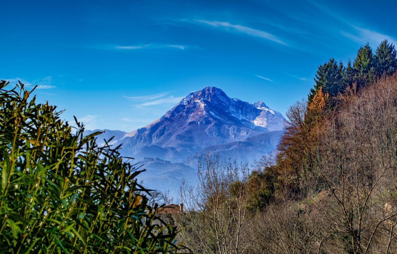 La Limonaia Di Casagrande Villa Barga Exteriör bild