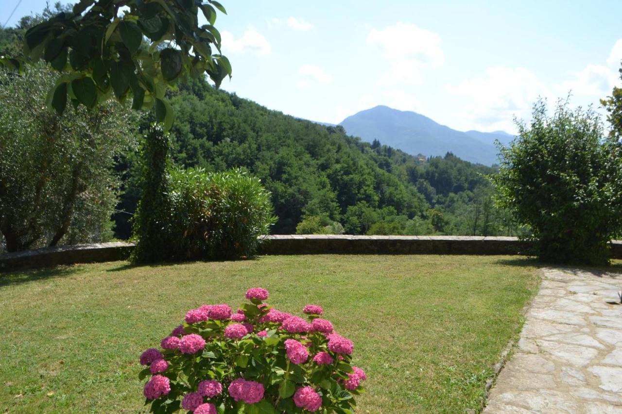La Limonaia Di Casagrande Villa Barga Exteriör bild